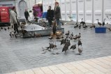 024-IMG_3128.JPG.small.jpeg