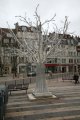 028-IMG_3133.JPG.small.jpeg