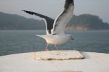 040-IMG_3243.JPG.small.jpeg