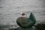 045-IMG_3249.JPG.small.jpeg