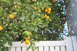 058-IMG_3286.JPG.small.jpeg