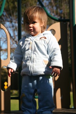 072-IMG_3301.JPG.medium.jpeg