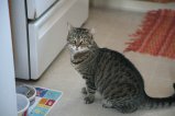 081-IMG_3313.JPG.small.jpeg