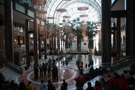 100-IMG_3339.JPG.medium.jpeg