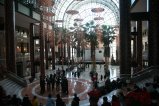 100-IMG_3339.JPG.small.jpeg