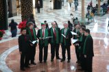 101-IMG_3341.JPG.small.jpeg