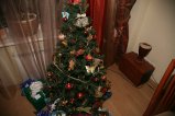 150-IMG_3639.JPG.small.jpeg