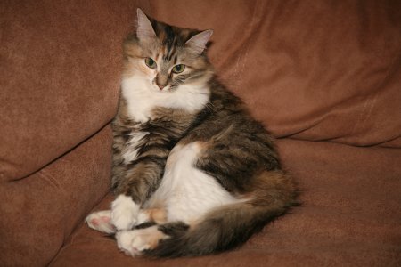 186-IMG_3691.JPG.medium.jpeg