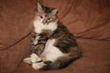186-IMG_3691.JPG.small.jpeg