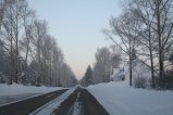 232-IMG_3766.JPG.small.jpeg