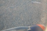 239-IMG_3781.JPG.small.jpeg