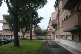 011-IMG_3856.JPG.small.jpeg
