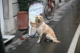 024-IMG_3883.JPG.small.jpeg