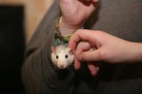 016-IMG_4184.JPG.small.jpeg