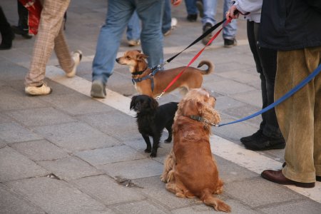 024-IMG_4361.JPG.medium.jpeg