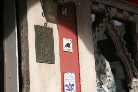 074-IMG_4485.JPG.medium.jpeg
