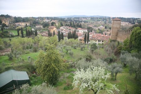 101-IMG_4537.JPG.medium.jpeg