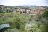 101-IMG_4537.JPG.small.jpeg