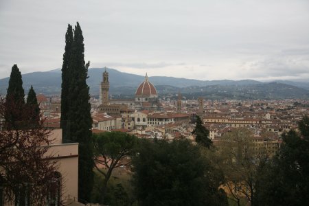 103-IMG_4541.JPG.medium.jpeg