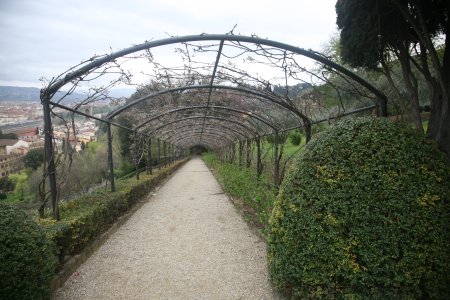 106-IMG_4549.JPG.medium.jpeg