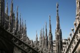 124-IMG_4582.JPG.small.jpeg