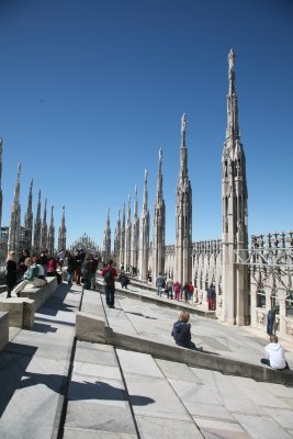 135-IMG_4599.JPG.medium.jpeg