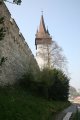006-IMG_4627.JPG.small.jpeg
