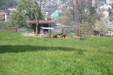 007-IMG_4628.JPG.small.jpeg