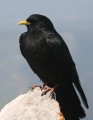 016-IMG_4644_e.JPG.small.jpeg