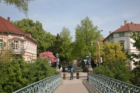 036-IMG_4671.JPG.medium.jpeg