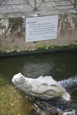 056-IMG_4701.JPG.medium.jpeg
