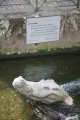 056-IMG_4701.JPG.small.jpeg