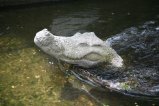057-IMG_4703.JPG.small.jpeg