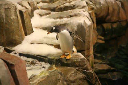 038-IMG_4929.JPG.medium.jpeg