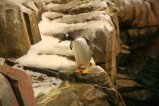 038-IMG_4929.JPG.small.jpeg