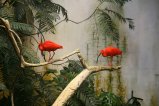 041-IMG_4938.JPG.small.jpeg