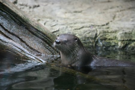 042-IMG_4941.JPG.medium.jpeg