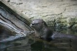 042-IMG_4941.JPG.small.jpeg