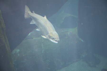 043-IMG_4945.JPG.medium.jpeg