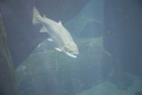 043-IMG_4945.JPG.small.jpeg