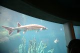 044-IMG_4947.JPG.small.jpeg