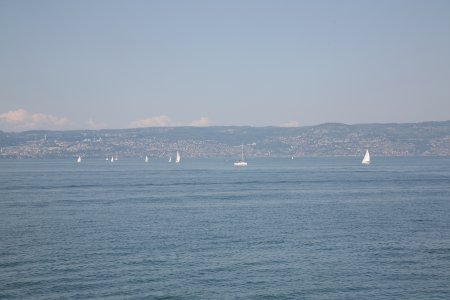 008-IMG_5005.JPG.medium.jpeg