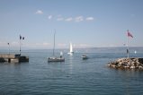 020-IMG_5020.JPG.small.jpeg