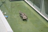 018-IMG_5086.JPG.small.jpeg