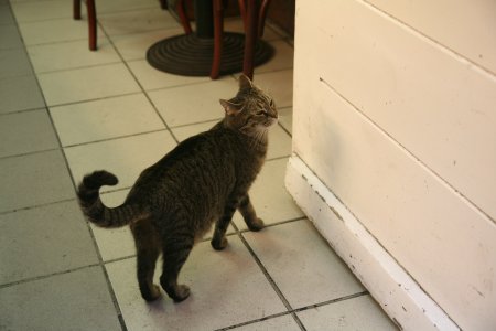 047-IMG_5256.JPG.medium.jpeg