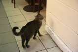 047-IMG_5256.JPG.small.jpeg