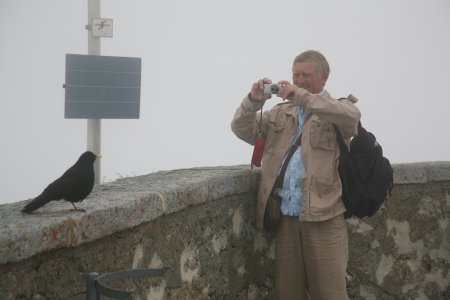 008-IMG_5452.JPG.medium.jpeg