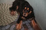 006-IMG_5621.JPG.small.jpeg