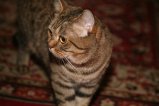 008-IMG_5623.JPG.small.jpeg