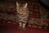 009-IMG_5624.JPG.small.jpeg